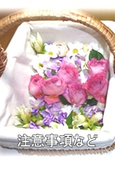 ���ӎ����Ȃ�