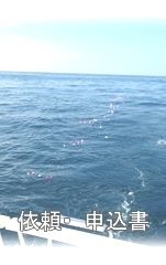 �˗��E�\����